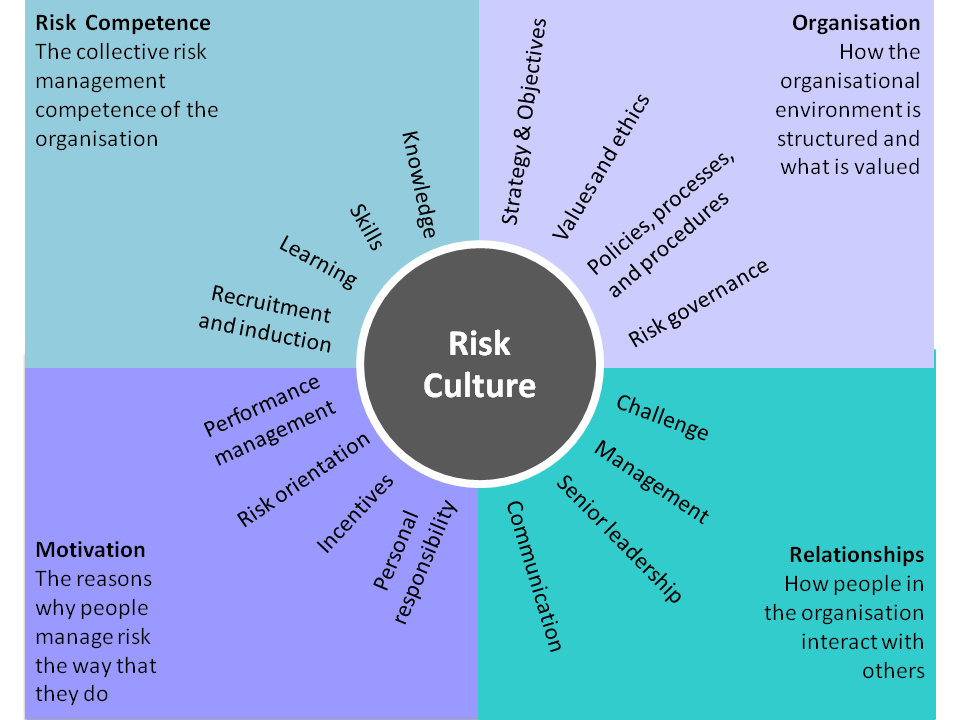 case study on risk culture