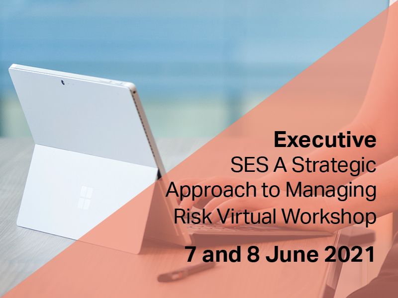 Executive SES A Strategic Approach to Managing Risk Virtual Workshop image