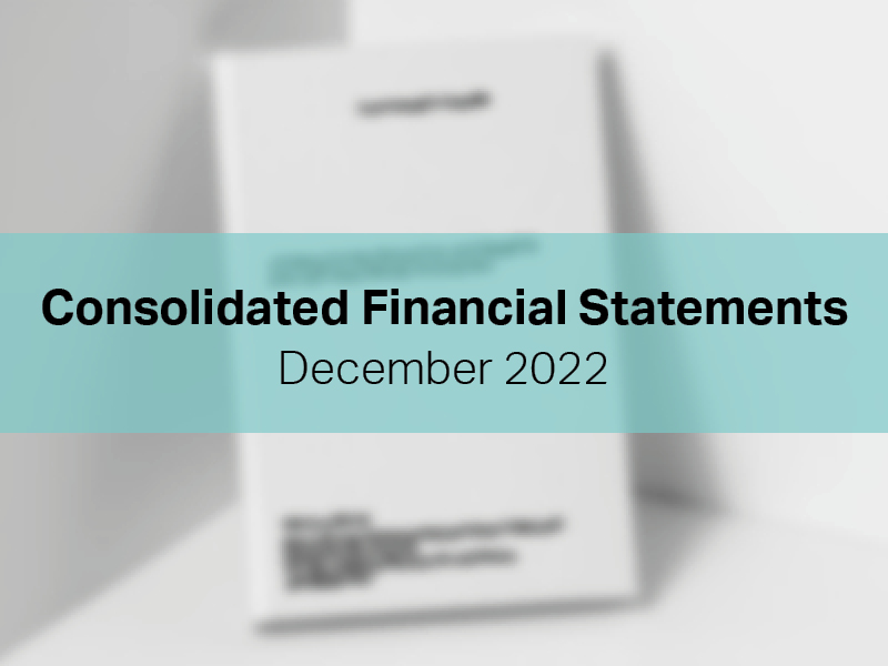 Consolidated Financial Statements