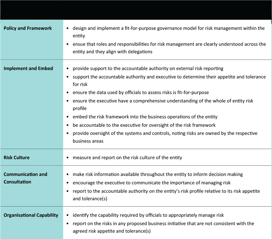 table with key areas of focus and Roles and Accountabilities of CRO