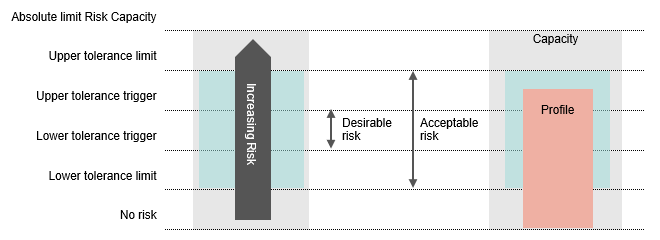 Governing your entity: