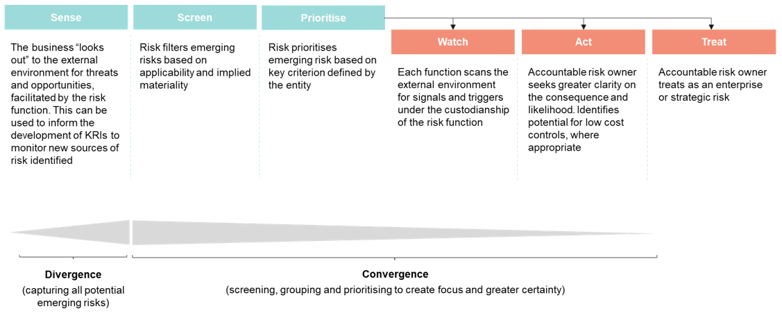 Columns showing the Process for managing emerging risks