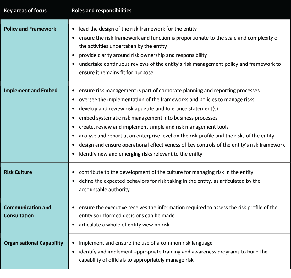 table with key areas of focus and Roles and responsibilities of CRO
