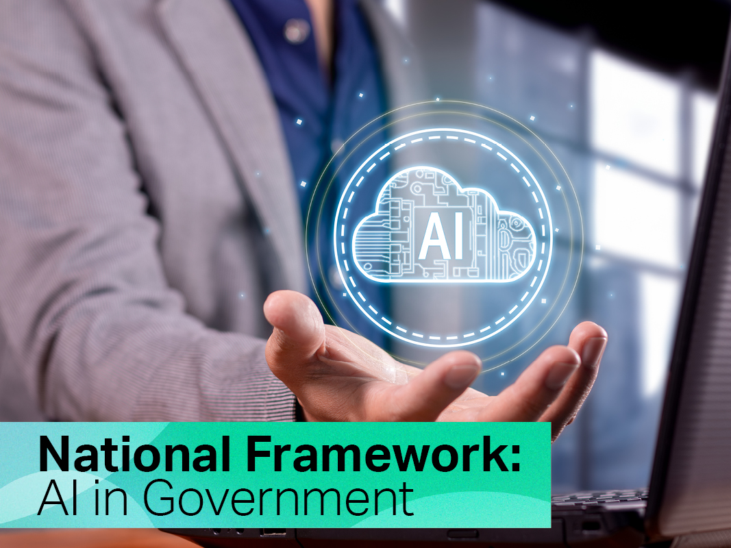 National Framework AI in Government