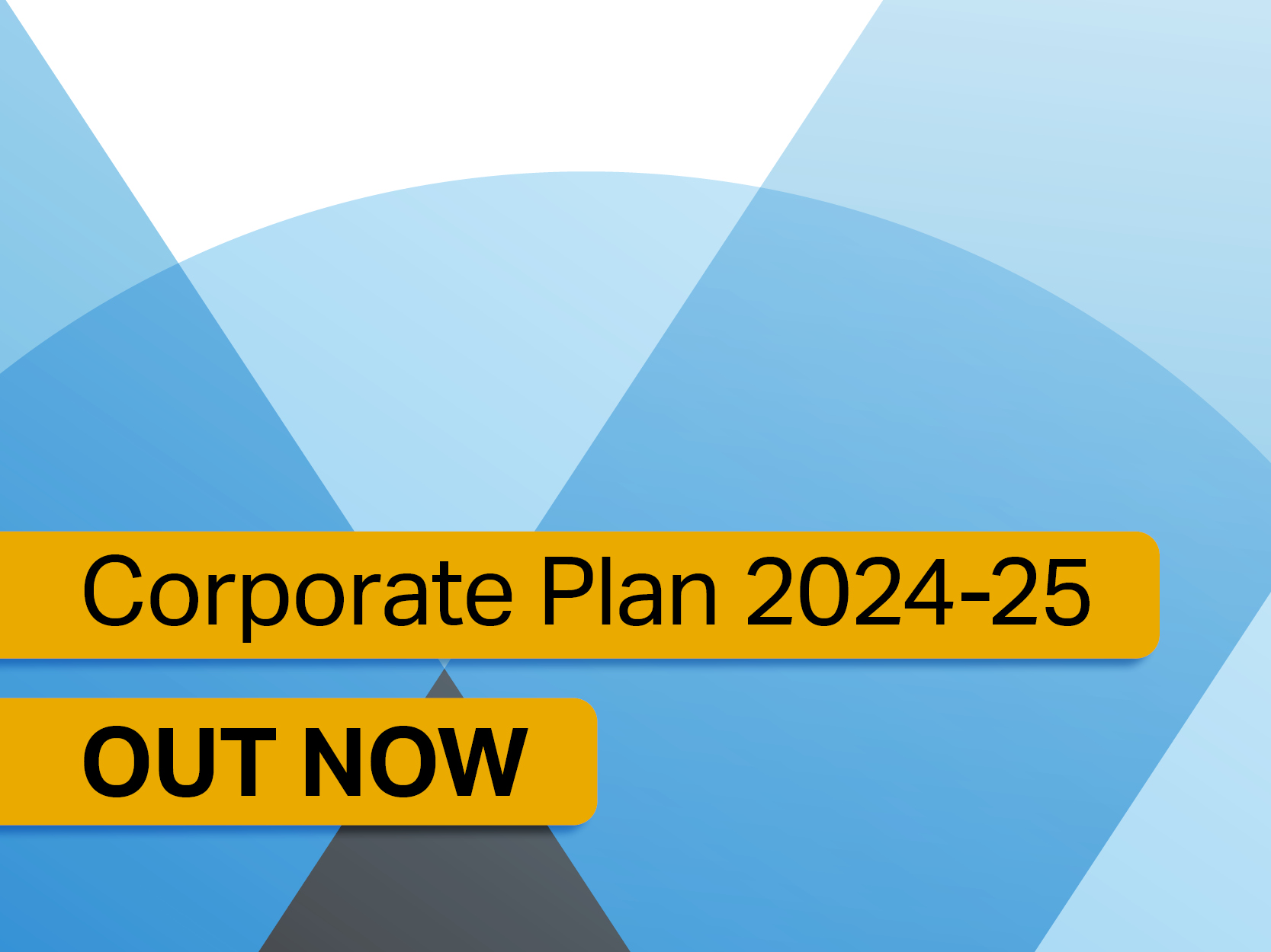 Coprorate Plan 2024-25