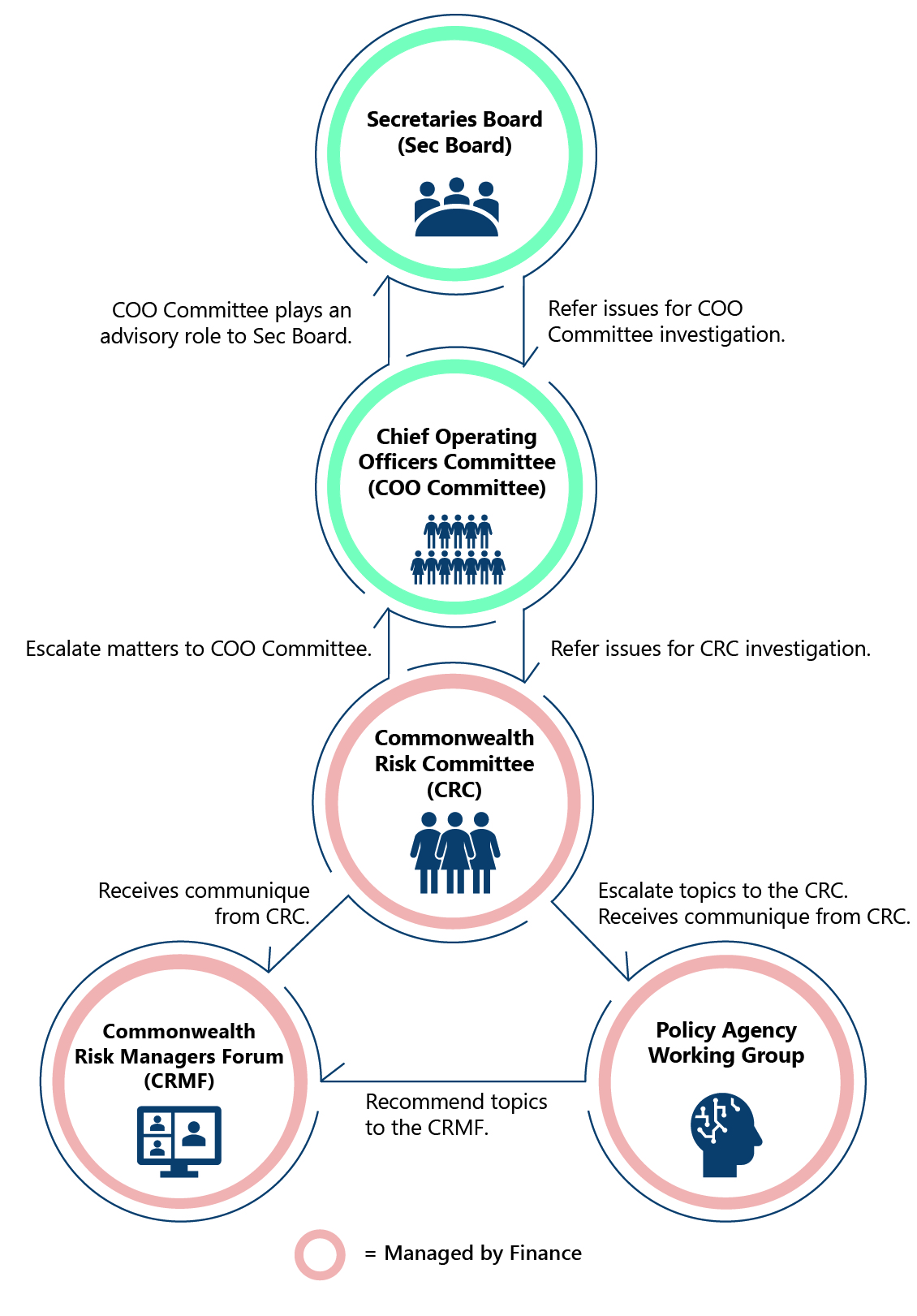 Risk Committees, Networks and Forums Diagram