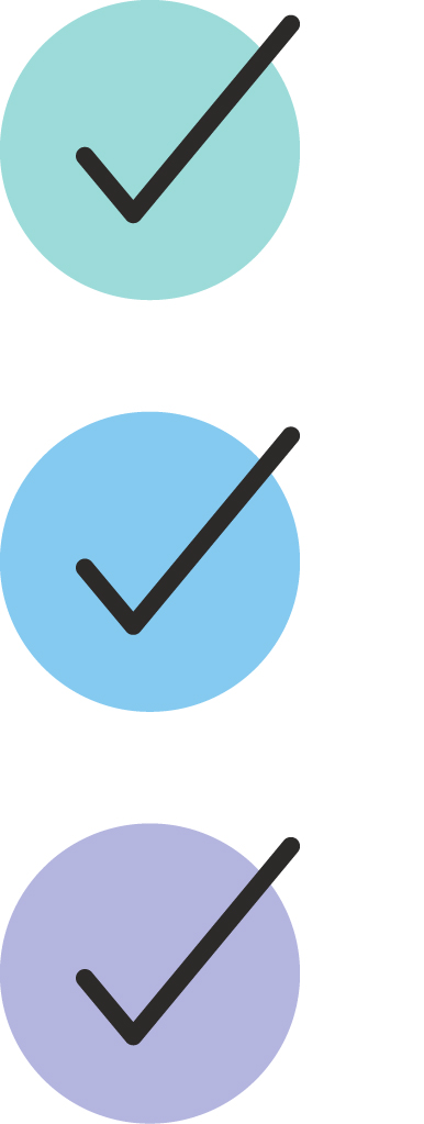 3 check icon