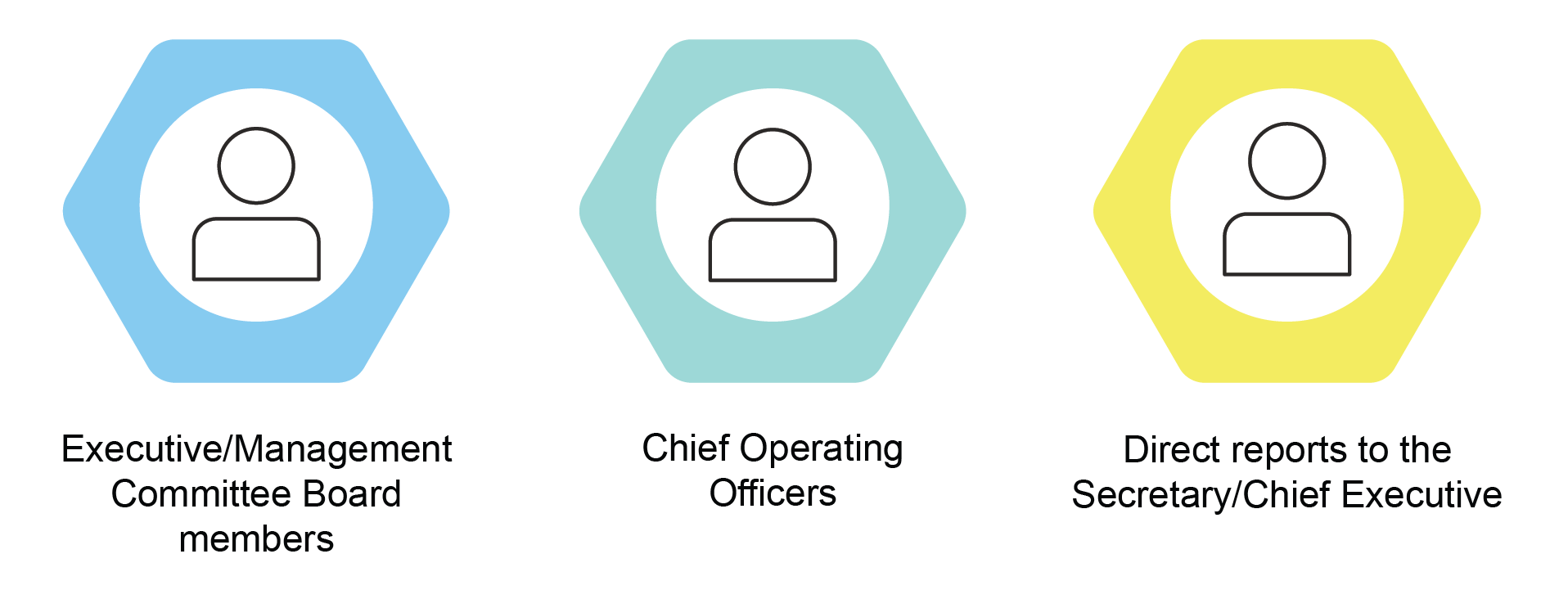 Executive/Management Committee Board members, Chief Operating Officers and Direct reports to the Secretary/Chief Executive.
