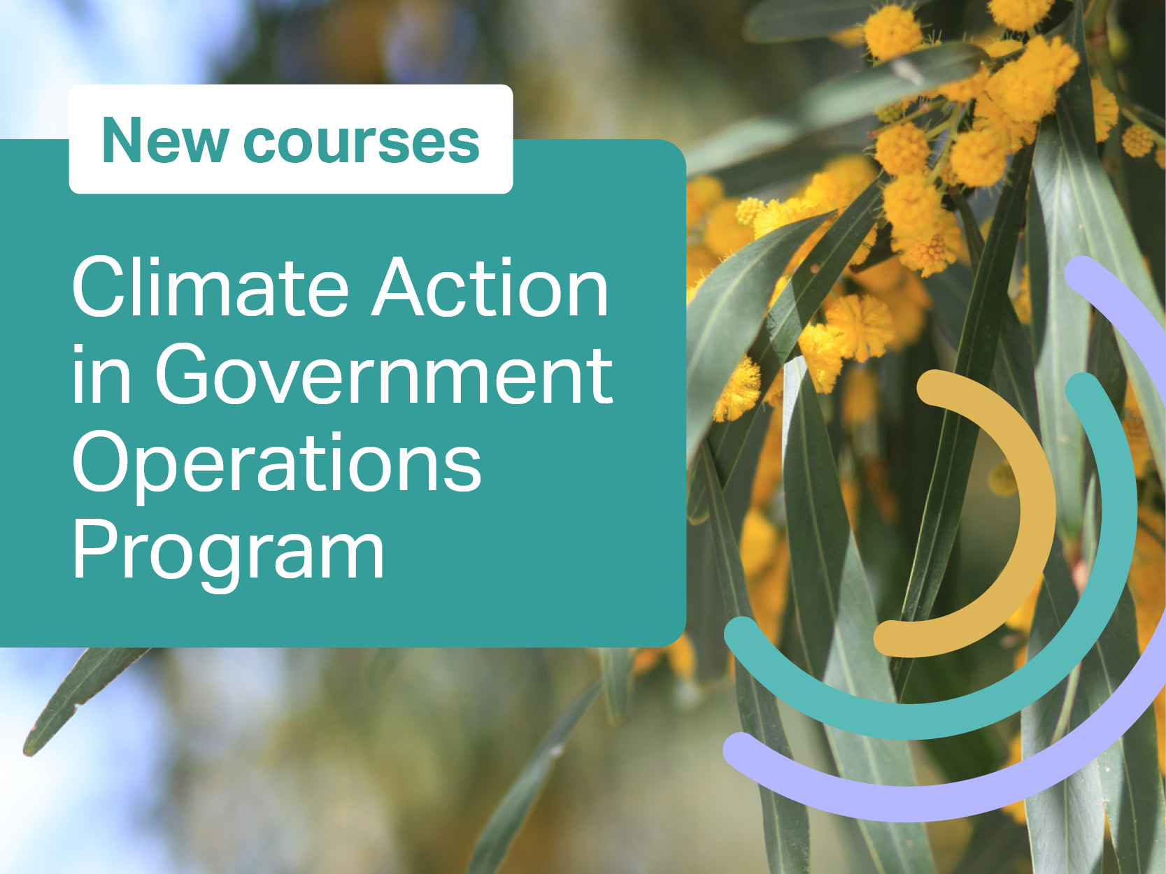 New courses - Climate action in government operations program