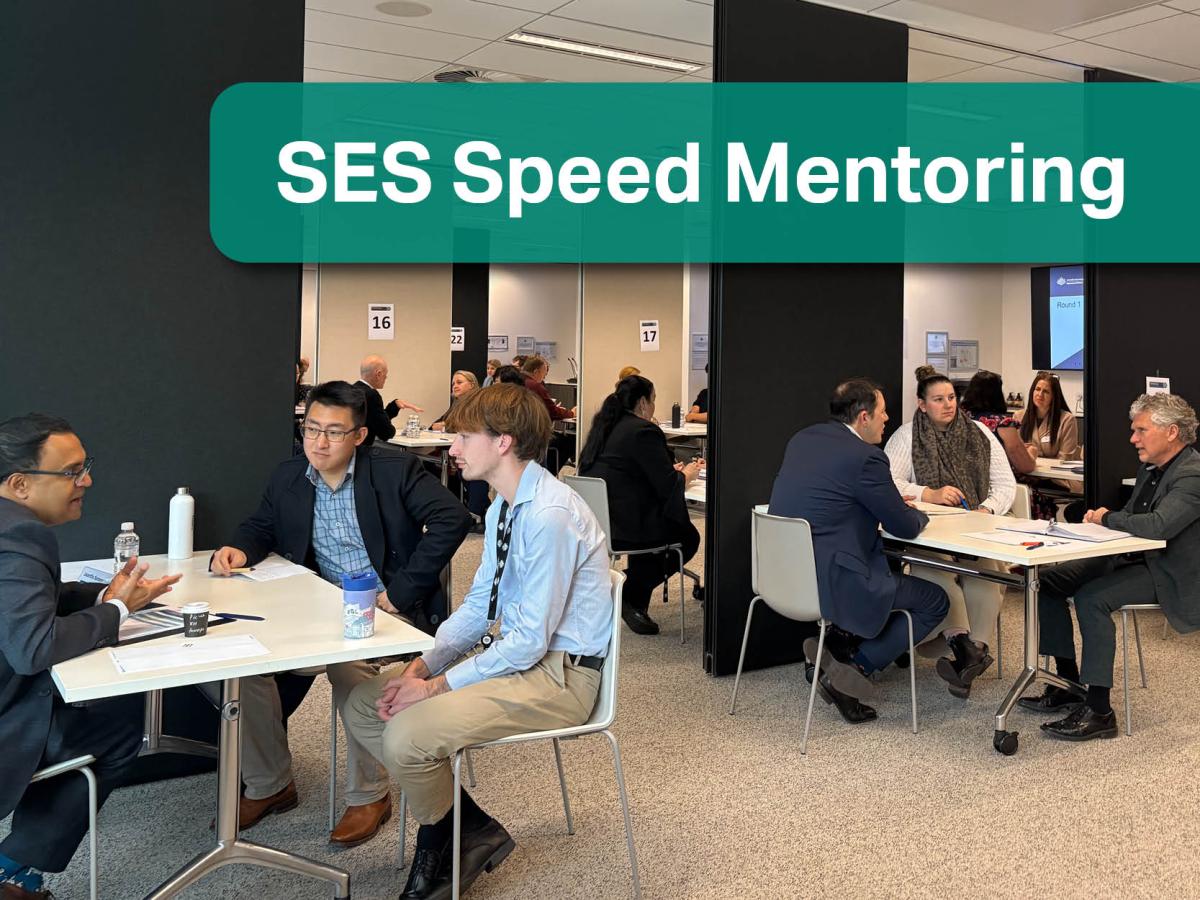 SES speed mentoring