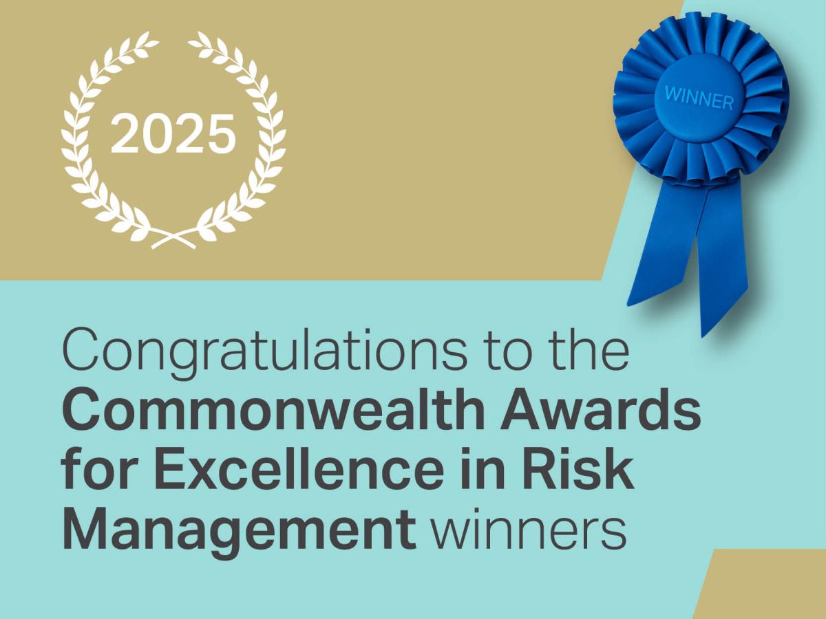 2025_lnt_risk_award_winners