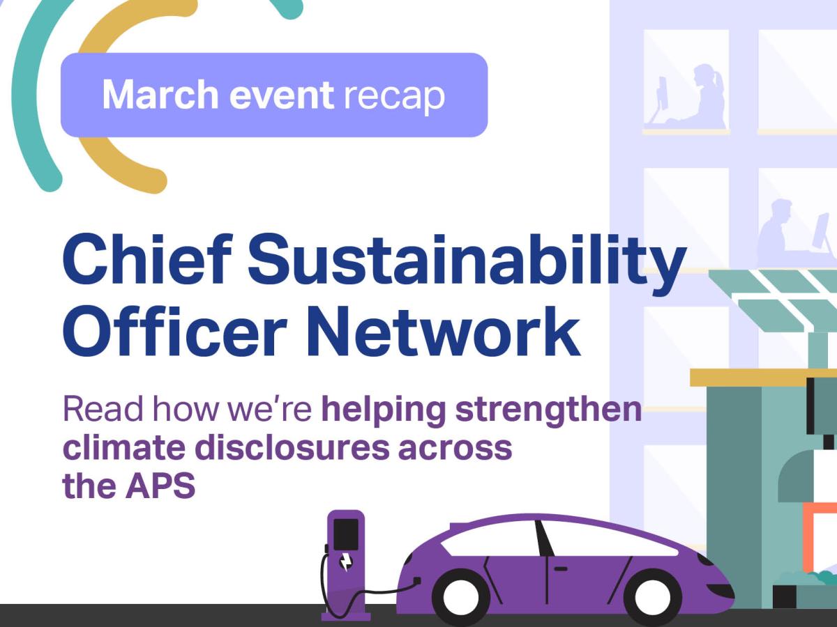Chief sustainability officer network